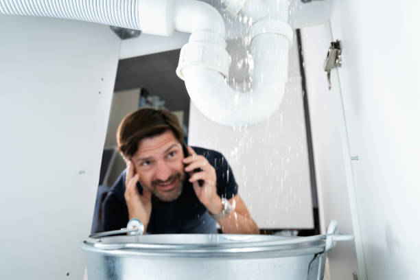 Best Local Plumber Services  in Winthrop, MN