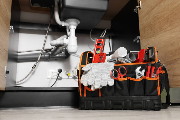 Best 24-Hour Plumber Near Me  in Winthrop, MN