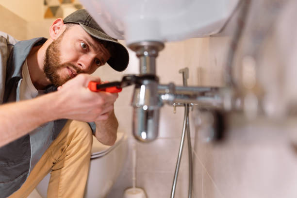 Best Plumbing Services Near Me  in Winthrop, MN