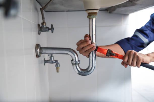 Best Affordable Plumber Near Me  in Winthrop, MN