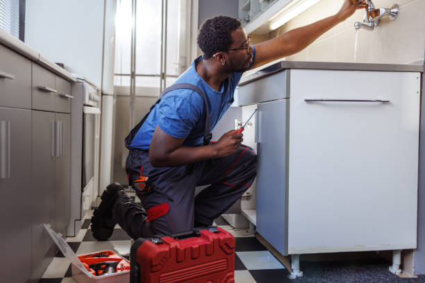 Best Emergency Plumber  in Winthrop, MN