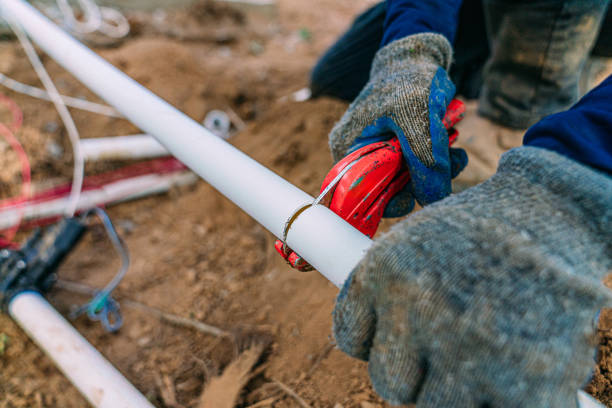 Best Best Plumbers Near Me  in Winthrop, MN